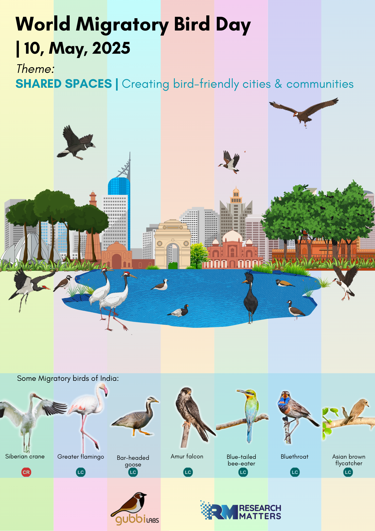 World Migratory Bird Day